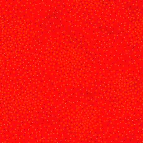 Spotsy - Quilting Treasures