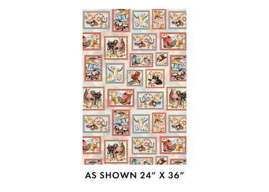 GONE COUNTRY - Western Boxes - Multi